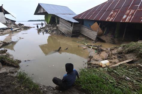 Hektare Sawah Rusak Akibat Banjir Di Parigi Moutong