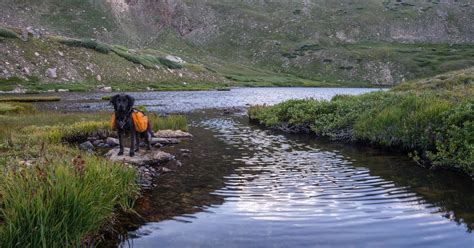 Hotéis Em Idaho Springs Desde 73 € Encontra Hotéis Baratos Com A Momondo