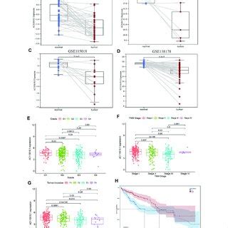 Validation Of The Expression And Clinical Value Of Lncrna Ac