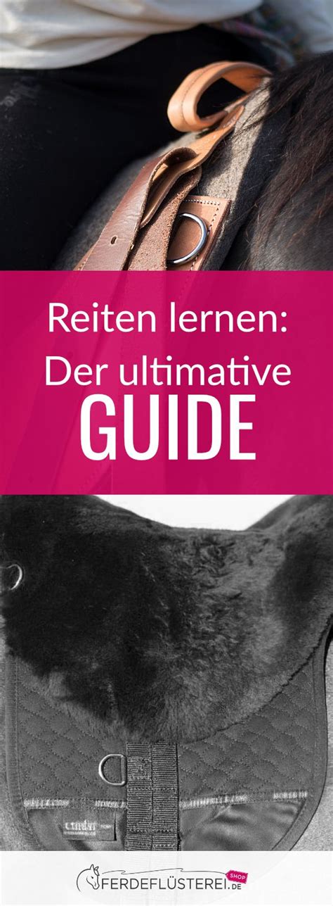 Reiten Lernen Der Ultimative Guide Für Reitanfänger Reiten Lernen