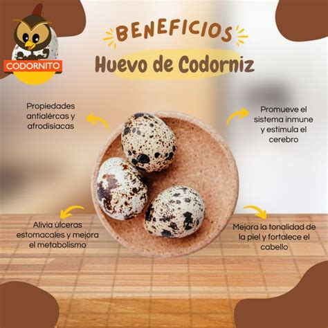 Diario HOY Huevos De Codorniz Alimento Con Alto Valor Nutricional