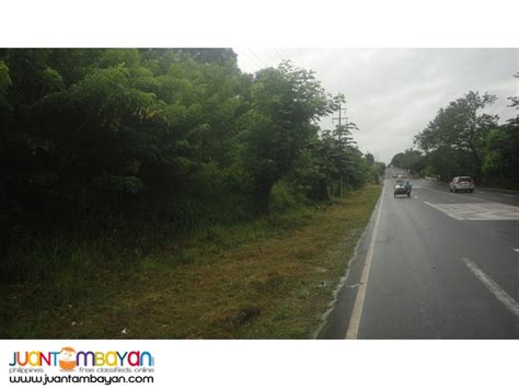 18 And 46 Hectare Land Lot Property Roman Highway In Abucay Bataan