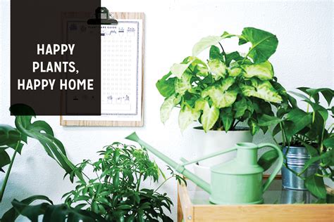 Printable: Plant Care Guide — The Paper + Craft Pantry