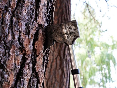 Hatchet In A Tree Christian Mcguire Flickr