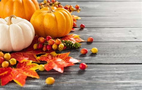 [100+] Fall Pumpkin Wallpapers | Wallpapers.com