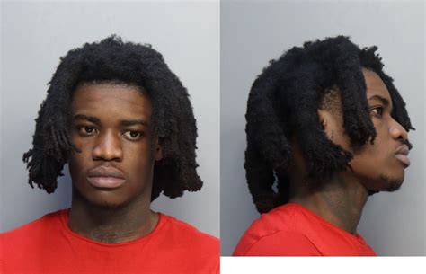 Francois Bervinson Miami Dade County Mugshots Zone