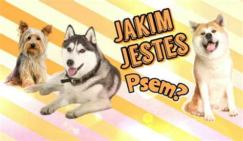 Jakim Psem Jeste Test