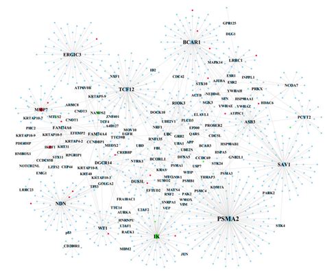 The Ppi Network Of Significant Modules Within The Green Module In