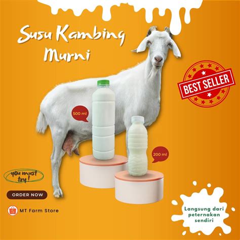 Jual Susu Kambing Murni Cair Etawa 200 Ml Beku Dan Segar MT Farm Siap