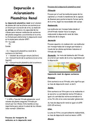 4 Compartimentos líquidos del cuerpo Guyton Fisiologia Compartimentos