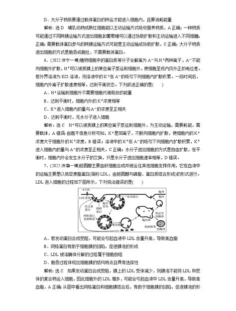 2024届人教版高考生物一轮复习 细胞的物质输入和输出 作业（单项版）含答案 教习网试卷下载