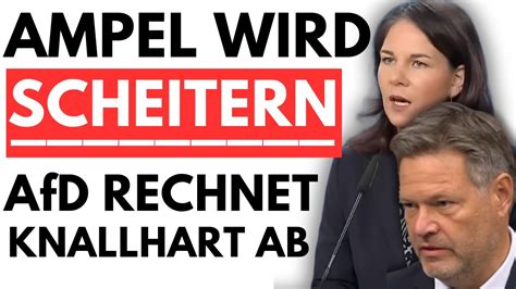 UNFASSBAR 80 UNZUFRIEDEN MIT DER AMPEL AfD RECHNET KNALLHART MIT