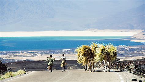 Djibouti Torism | Home