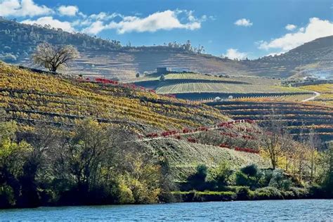 Map of Douro Valley Wineries - All Wine Tours