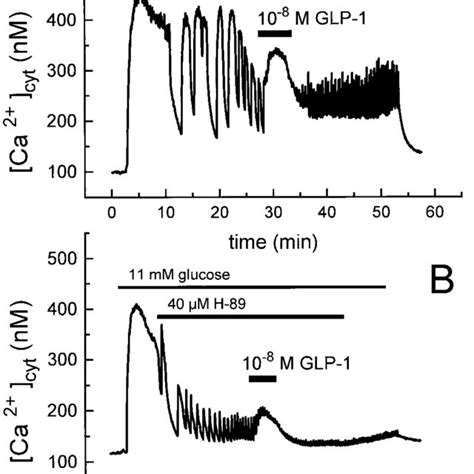 Effect Of PKA Inhibitors On The Cytosolic Calcium Ca 2 Cyt