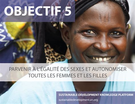 Webinaire sur les Objectifs de développement durable Quel impact pour