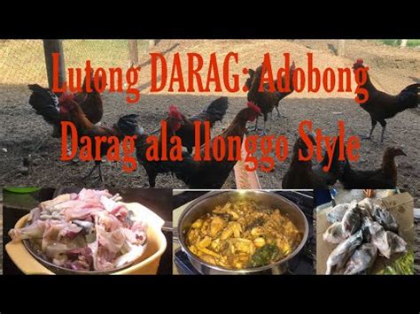 adobong darag native chicken ilonggo style daragpurebreed