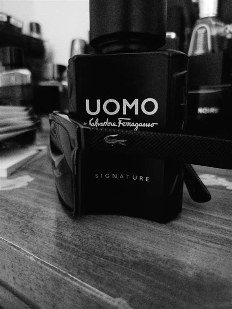 Uomo Salvatore Ferragamo Signature Salvatore Ferragamo zapach - to ...