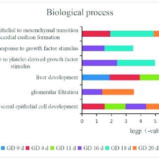 pathways related  organ development  time