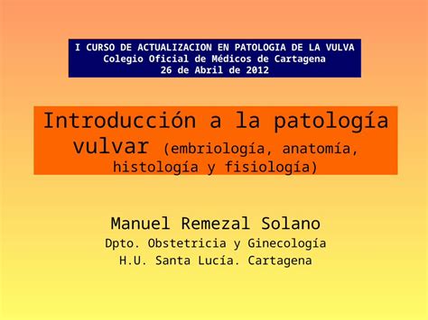 PPT Introducción a la patología vulvar embriología anatomía