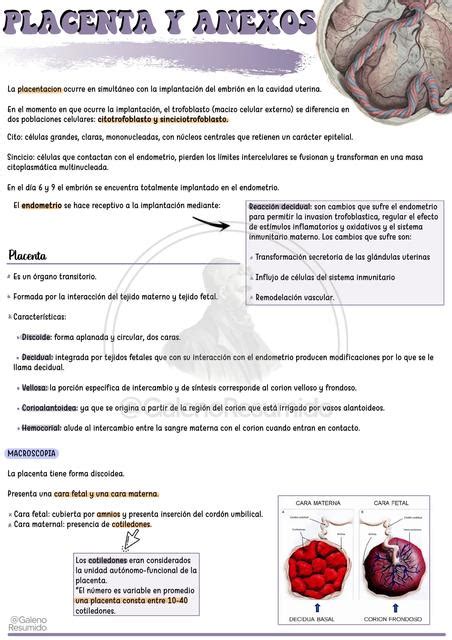 Placenta Y Anexos Galeno Resumido UDocz