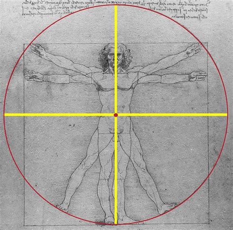 Luomo Vitruviano Di Leonardo Da Vinci Arte Svelata