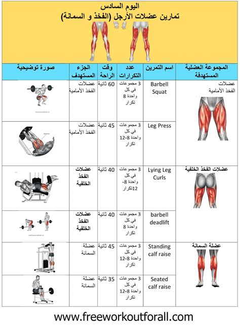 لبناء العضلات جدول غذائي صحي للرياضيين