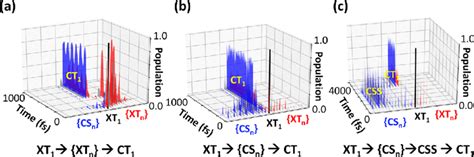 Three Pathways For Exciton Dissociation As Obtained From X Sh A Xt 1 Download Scientific