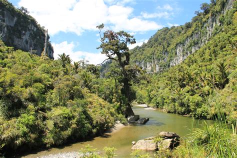 Paparoa National Park Een Puur Stukje Nieuw Zeeland