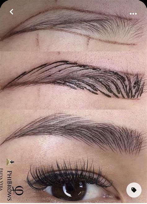 Eyebrow Makeup Techniques Eyebrow Makeup Tips Permanent Makeup