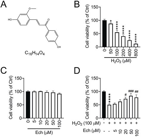 Echinatin Ech Attenuates The Effects Of H 2 O 2 On The Viability Of