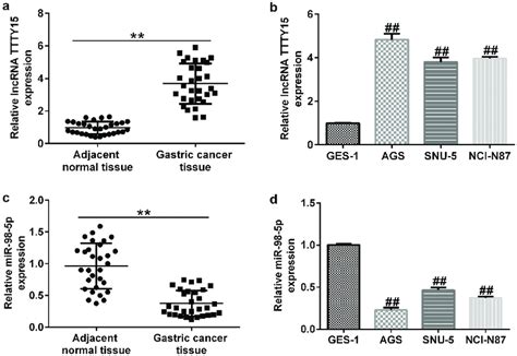 Ectopic Expressions Of Lncrna Ttty5 And Mir 98 5p In Gastric Cancer Download Scientific Diagram