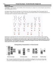 Understanding Human Karyotype and Genetic Disorders | Course Hero