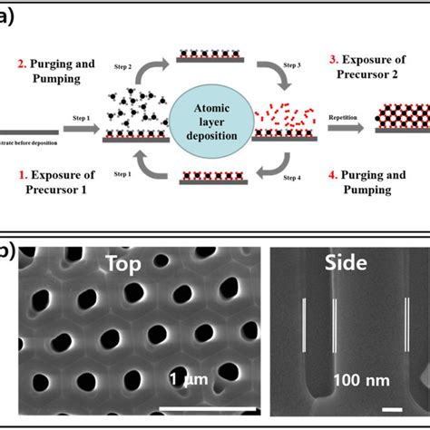 A The Operating Principle Of Atomic Layer Deposition Is Schematically Download Scientific