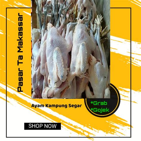 Jual Ayam Kampung Fresh Segar Pasar Ta Makassar Shopee Indonesia