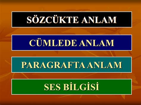 TÜRKÇE ŞÜKRÜ ŞİMŞEK ppt indir