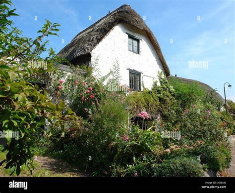 Thatched Cottage At Porlock Wier Somerset Stock Photo Alamy