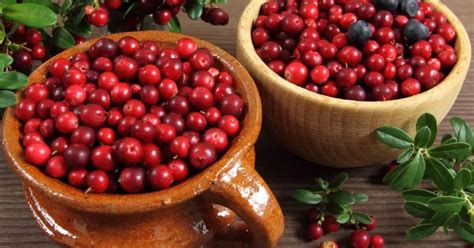 Are Cranberries Low Histamine? - Histamine Doctor