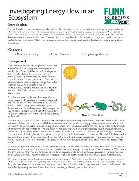 Investigating Energy Flow In An Ecosystem Flinn Scientific Worksheets Library