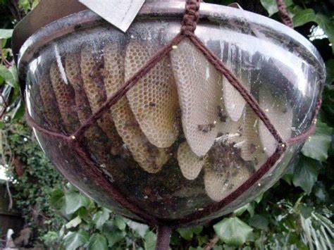 10 Bee Utiful Beehive Diy Projects Bee Friendly Garden Bee Keeping