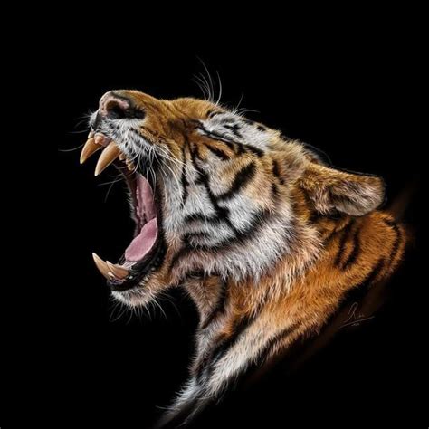 Discover & Share Your Art on Instagram: " Incredible Tiger Digital ...