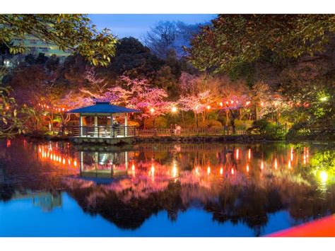 More Recommendations Japan Tourist Attractions【toyama Prefecture