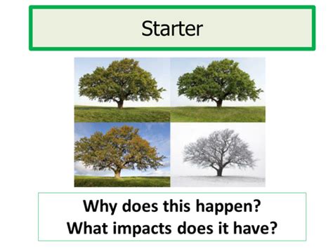 AQA GCSE Biology B8 Photosynthesis | Teaching Resources 