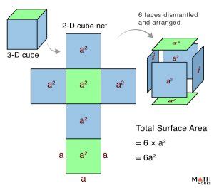 Surface Area of a Cube - Formulas, Examples, and Diagrams