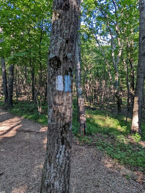 5 Tips To Know When Visiting Shenandoah National Park