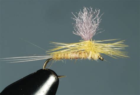 Dry Flies Hand Tied Flies For Fly Fishing Pmd Master Dry Flies For