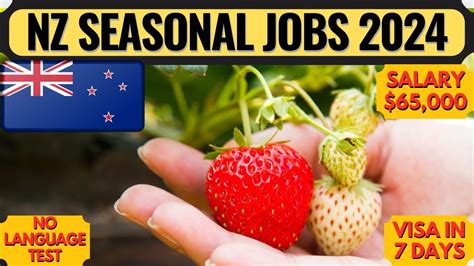 New Zealand Work Visa 2024 New Zealand Seasonal Work Visa New