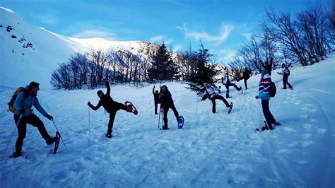 Ciaspolata Alla Foresta Del Teso Escursione Guidata Nella Foresta Del