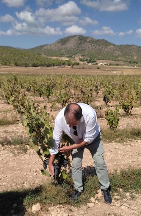 VISITANDO BODEGAS MONÓVAR LA SACRISTÍA DEL FONDILLÓN AAPET