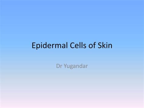 inflammatory cells  skin pptx